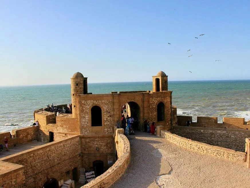 Day Trip to Essaouira photo 3