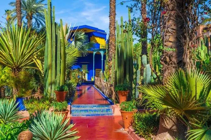 Majorelle Garden Including Museums