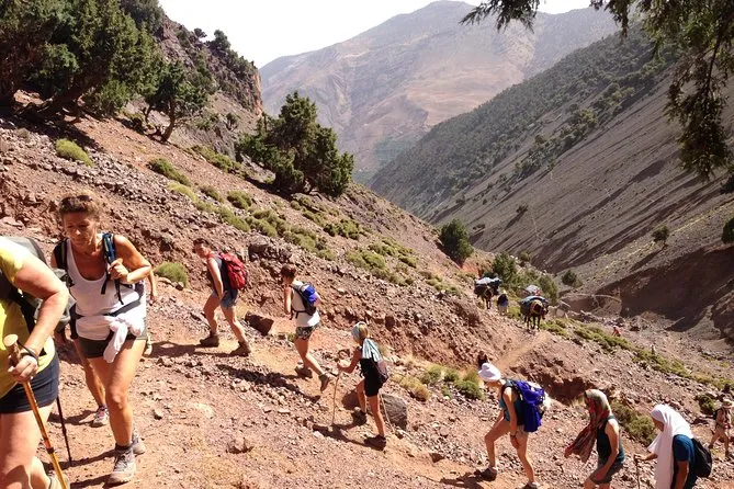 Walking Tour in the Atlas Mountains & Ait Oucheg Valley