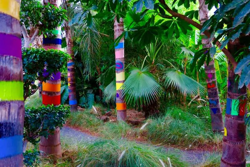 Anima Garden photo 3