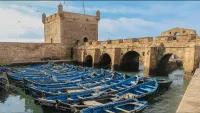 Day Trip to Essaouira photo 4