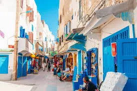 Day Trip to Essaouira photo 5