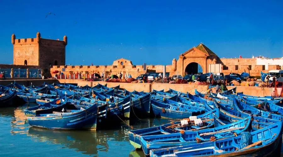 Day Trip to Essaouira photo 6