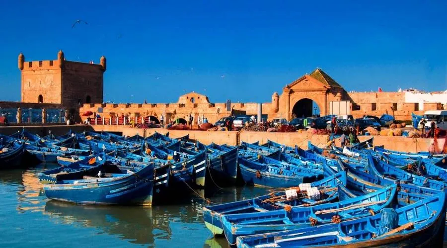 Day Trip to Essaouira photo 6