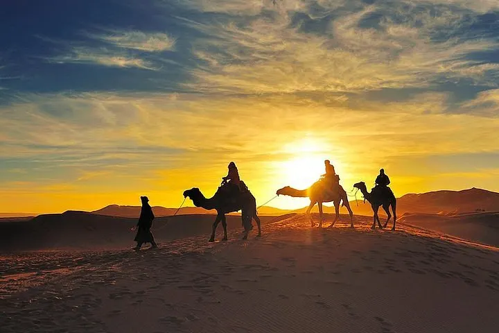 Sunset Camel Ride in the Palm Groves photo 5