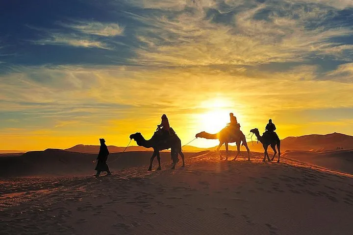 Sunset Camel Ride in the Palm Groves photo 5