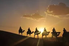 Sunset Camel Ride in the Palm Groves photo 6
